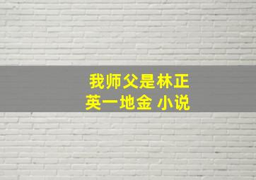 我师父是林正英一地金 小说